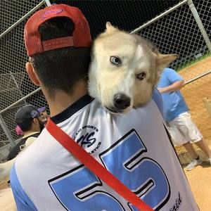 Meet your Posher, Jordan